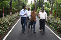 Plants: image 3 0f 4 thumb