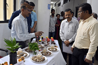 Plants: image 3 0f 4 thumb