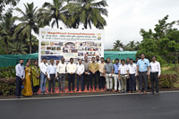 Plants: image 3 0f 4 thumb