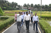 Plants: image 3 0f 4 thumb