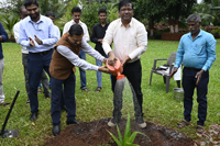 Plants: image 3 0f 4 thumb