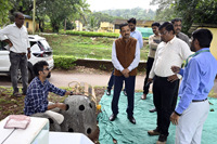 Plants: image 3 0f 4 thumb