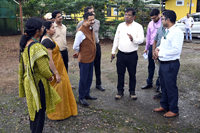 Plants: image 3 0f 4 thumb