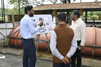 Plants: image 3 0f 4 thumb