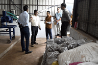 Plants: image 3 0f 4 thumb