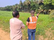 Plants: image 3 0f 4 thumb