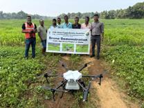 Plants: image 3 0f 4 thumb