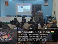 Plants: image 3 0f 4 thumb