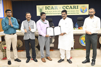 Plants: image 3 0f 4 thumb