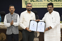 Plants: image 3 0f 4 thumb