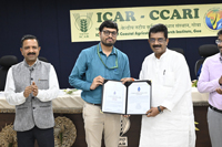 Plants: image 3 0f 4 thumb