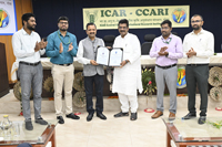 Plants: image 3 0f 4 thumb