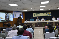 Plants: image 3 0f 4 thumb