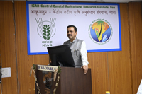 Plants: image 3 0f 4 thumb