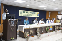 Plants: image 3 0f 4 thumb