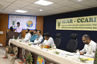 Plants: image 3 0f 4 thumb