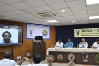 Plants: image 3 0f 4 thumb