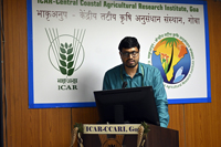 Plants: image 3 0f 4 thumb