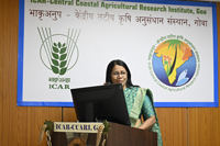 Plants: image 3 0f 4 thumb