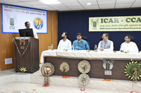 Plants: image 3 0f 4 thumb