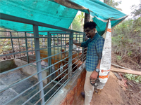 Plants: image 3 0f 4 thumb