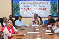 Plants: image 3 0f 4 thumb