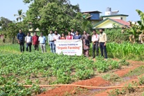 Plants: image 3 0f 4 thumb