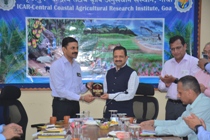 Plants: image 3 0f 4 thumb