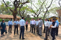 Plants: image 3 0f 4 thumb