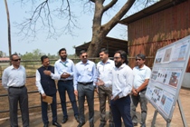 Plants: image 3 0f 4 thumb