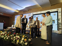 Plants: image 3 0f 4 thumb