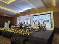 Plants: image 3 0f 4 thumb