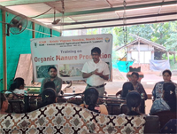 Plants: image 3 0f 4 thumb