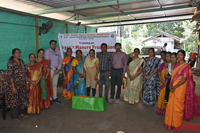 Plants: image 3 0f 4 thumb