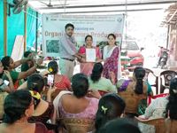 Plants: image 3 0f 4 thumb