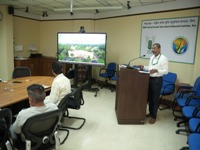 Plants: image 3 0f 4 thumb