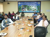 Plants: image 3 0f 4 thumb