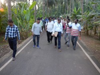 Plants: image 3 0f 4 thumb