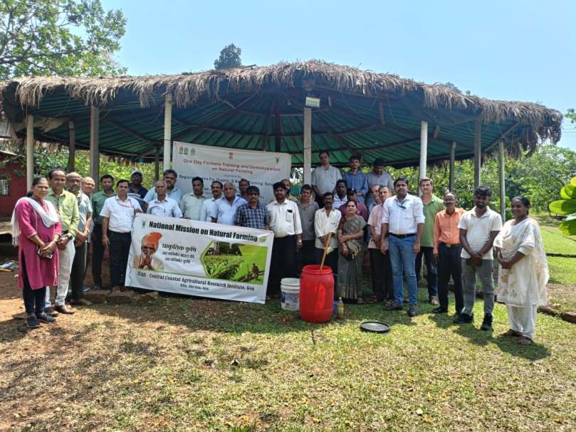 Plants: image 3 0f 4 thumb