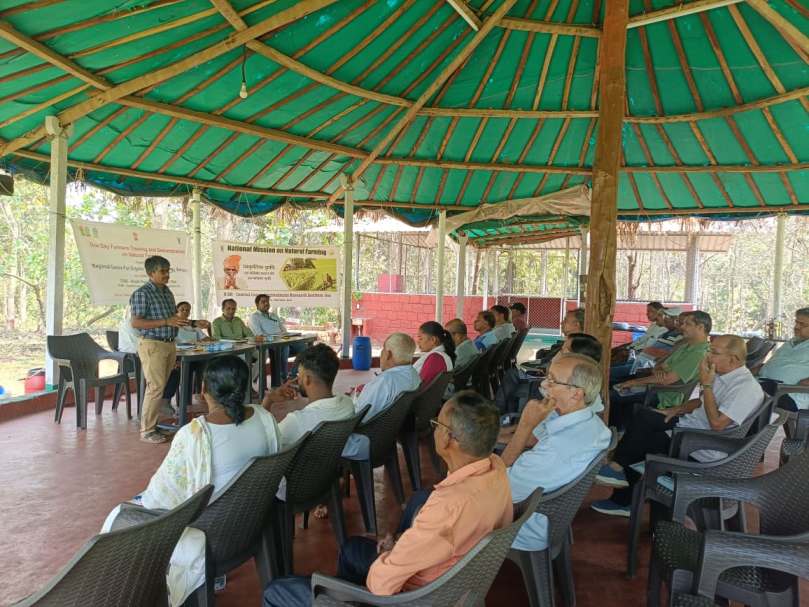 Plants: image 3 0f 4 thumb