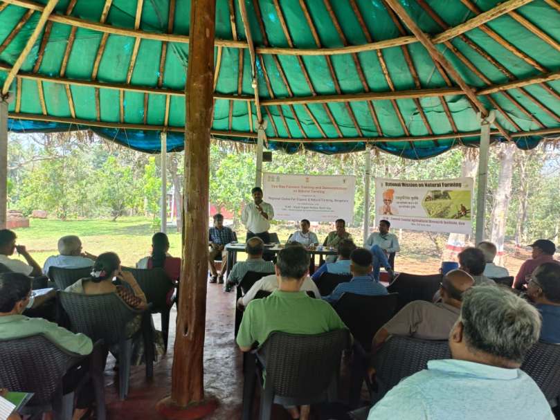 Plants: image 3 0f 4 thumb