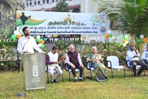 Plants: image 3 0f 4 thumb