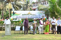 Plants: image 3 0f 4 thumb