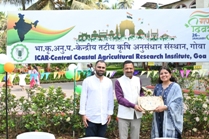 Plants: image 3 0f 4 thumb