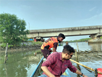 Plants: image 3 0f 4 thumb