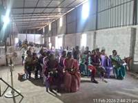 Plants: image 3 0f 4 thumb