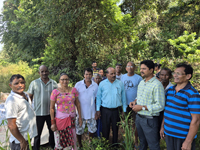 Plants: image 3 0f 4 thumb