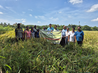 Plants: image 3 0f 4 thumb