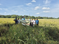 Plants: image 3 0f 4 thumb