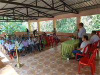 Plants: image 3 0f 4 thumb